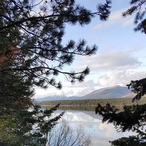 Meet your Posher, Connie